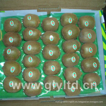 Chinese Fresh Kiwi Fruit en venta en es.dhgate.com